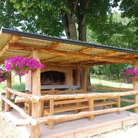 Farma & Apartmani II Opg Sasa Delic Grabusic Exterior foto