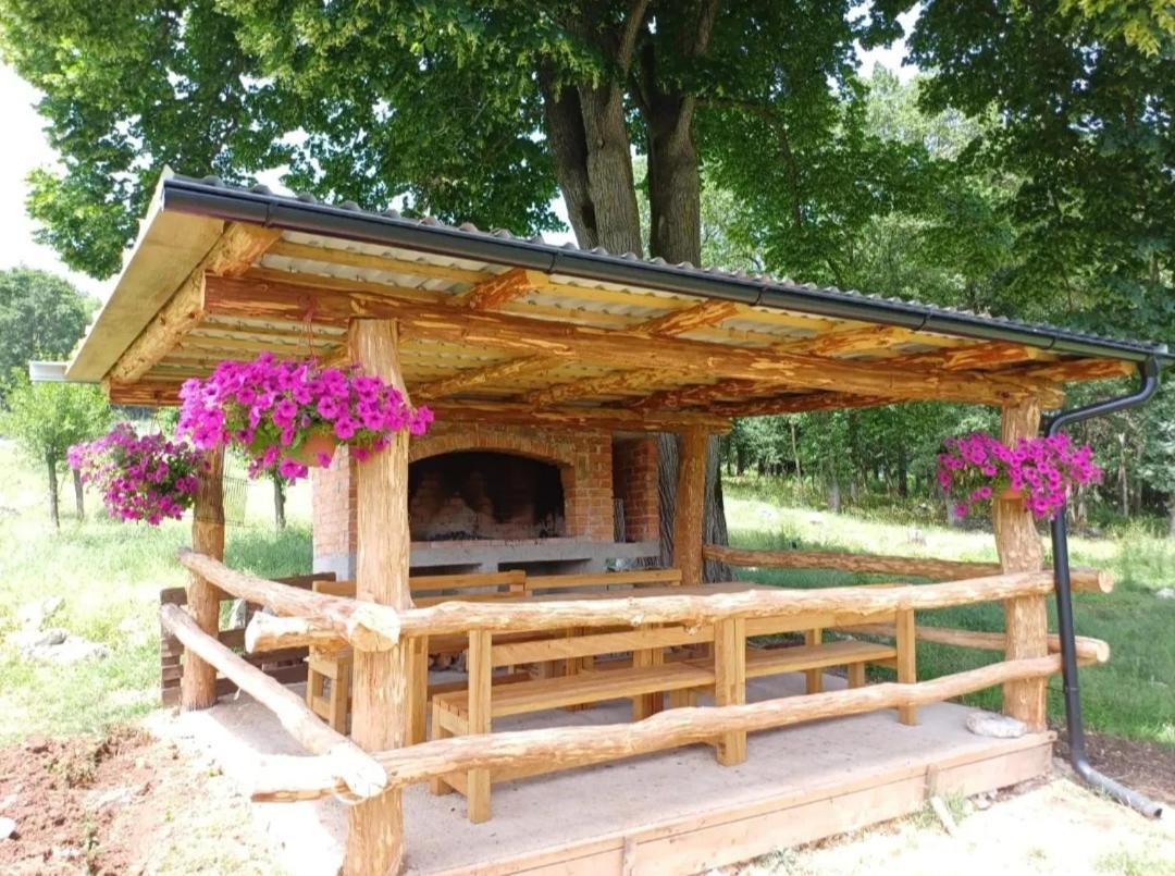 Farma & Apartmani II Opg Sasa Delic Grabusic Exterior foto